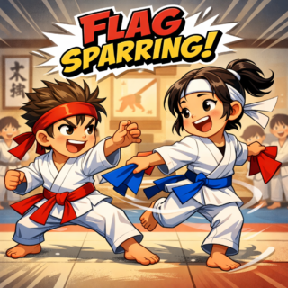 flag sparring