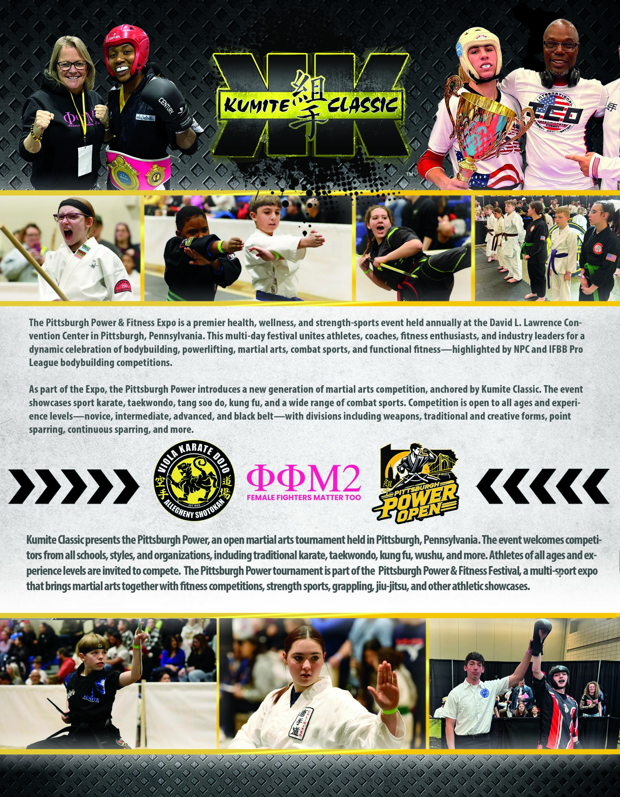 pittsburgh power karate tournament