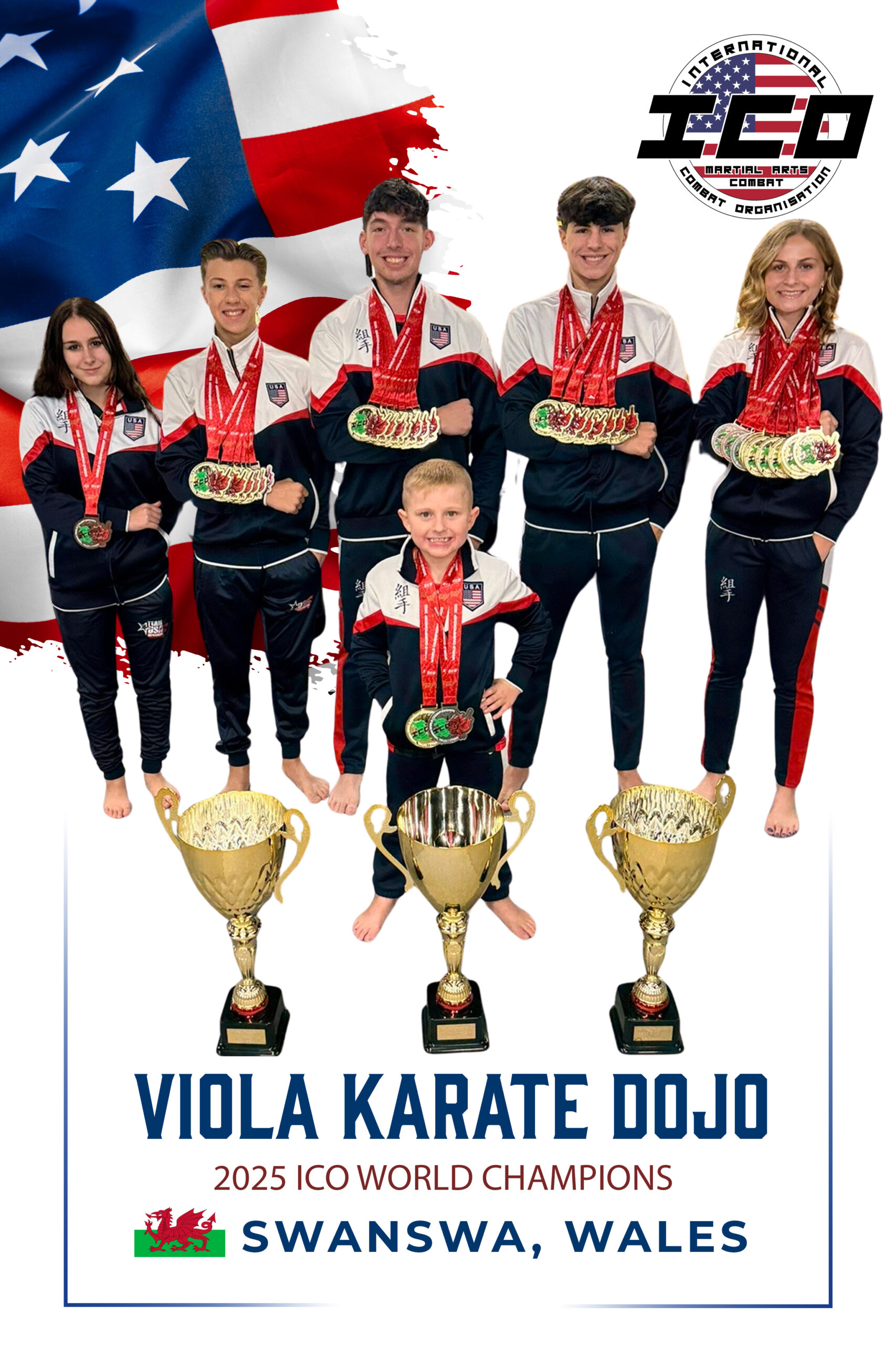 VIOLA DOJO